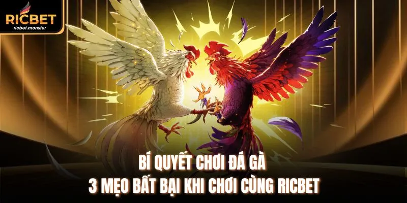 Bí Quyết Chơi Đá Gà - 3 Mẹo Bất Bại Khi Chơi Cùng Ricbet