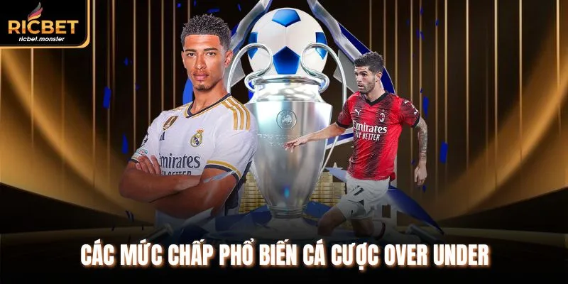 Các mức chấp phổ biến cá cược over under