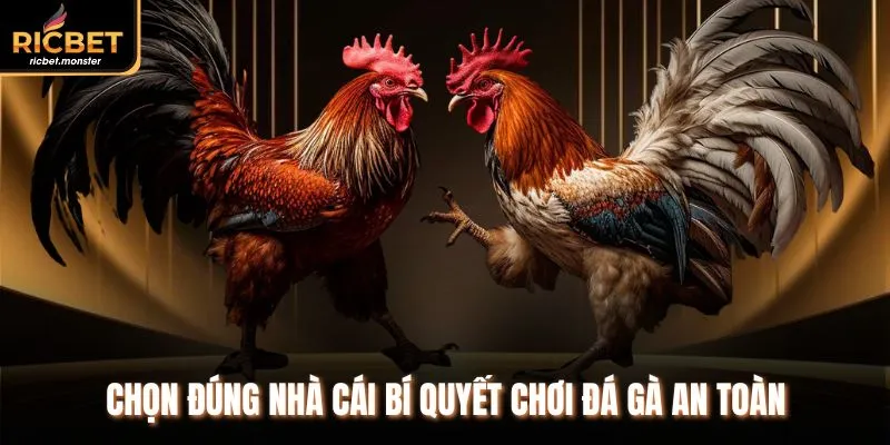 Chọn đúng nhà cái bí quyết chơi đá gà an toàn