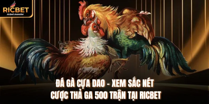 Đá Gà Cựa Dao - Xem Sắc Nét Cược Thả Ga 500 Trận Tại Ricbet