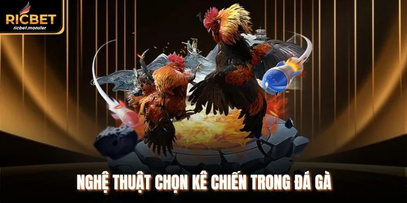 Nghệ thuật chọn kê chiến trong đá gà