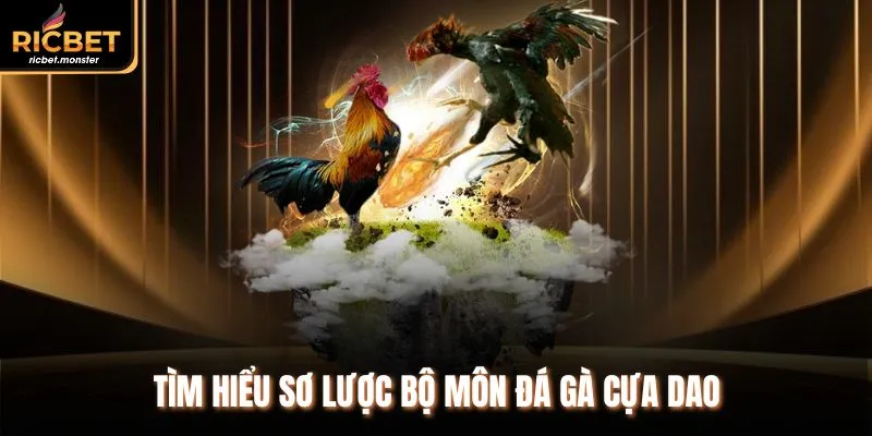 Tìm hiểu sơ lược bộ môn đá gà cựa dao