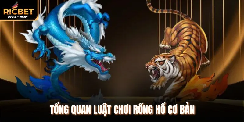Tổng quan luật chơi Rồng Hổ cơ bản